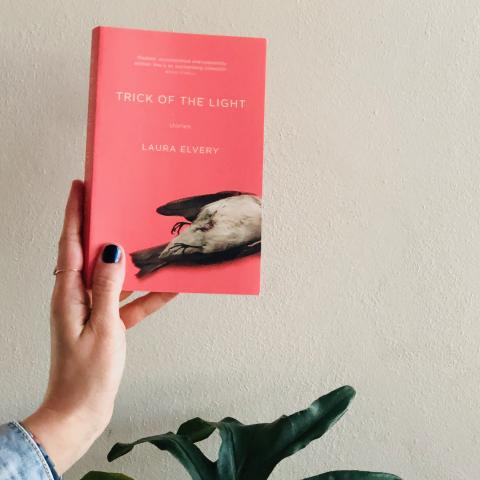 Cover image of Trick of the Light by Laura Elvery featuring a dead bird on a pink background